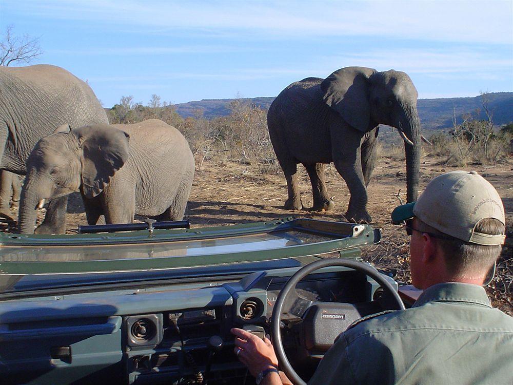 Entabeni Mountain Lodges Mmamatlakala Eksteriør billede