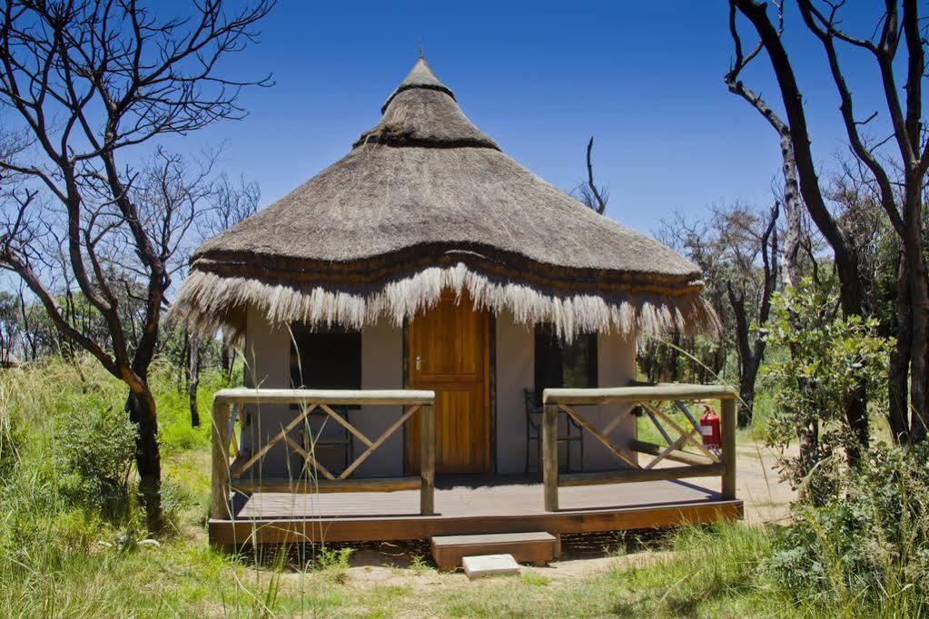 Entabeni Mountain Lodges Mmamatlakala Eksteriør billede